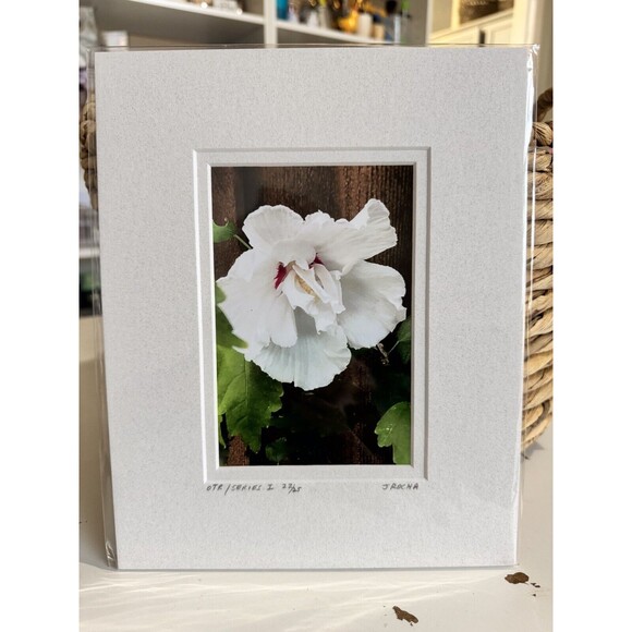 Original Photography 5X7 Picture Double Matted For 8X10 Frame - Picture 1 of 1